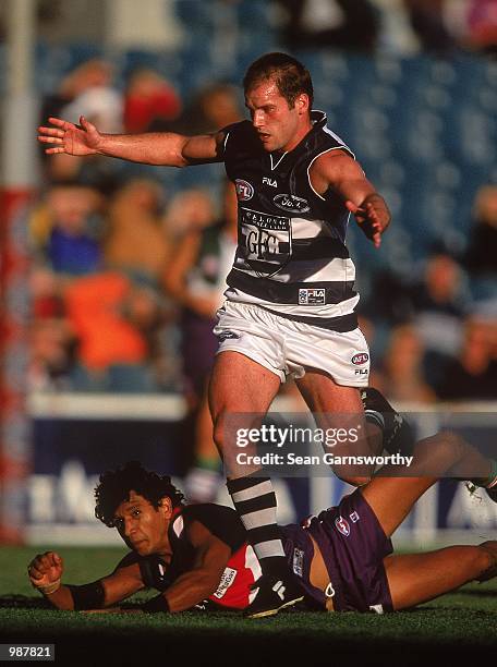 Paul Chapman for Geelong in action during round eight of the AFL season match played between the Fremantle Dockers and the Geelong Cats held at...