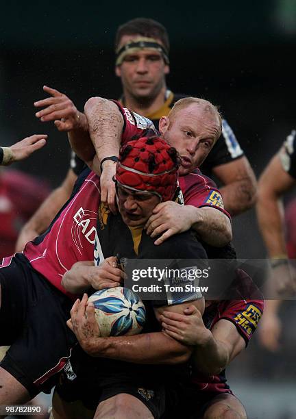 Dan Ward-Smith of Wasps is tackled by Martyn Williams of Cardiff during the Amlin Challenge Cup Semi Final match between London Wasps and Cardiff...