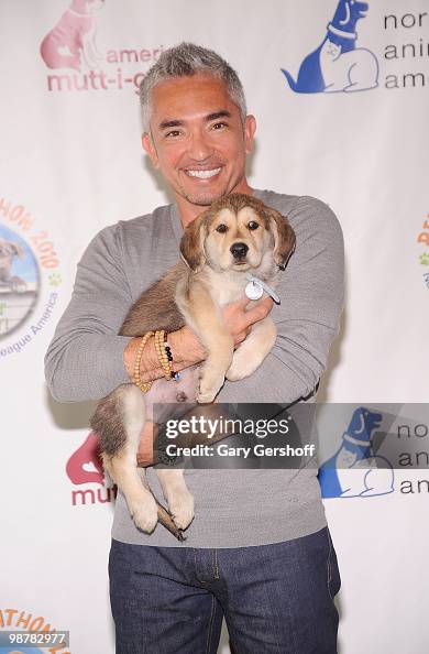 Dog behavior expert Cesar Millan attends Animal League #39 s Global Pet Dog behavior expert Cesar Millan attends Animal League #39 s Global Pet