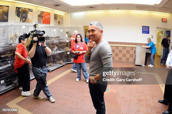 Dog behavior expert Cesar Millan attends Animal League #39 s Global Pet Dog behavior expert Cesar Millan attends Animal League #39 s Global Pet