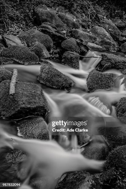 Clerke Rocks Clerke Rocks Photos and Premium High Res Pictures - Getty Images