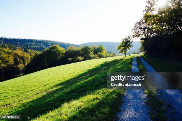 hiking near aschaffenburg - aschaffenburg stock pictures, royalty-free photos & images