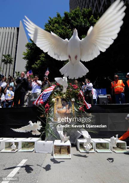 White doves are released after thousands of demonstrators marched in a May Day immigration rally on May 1, 2010 in Los Angeles, California. More than...