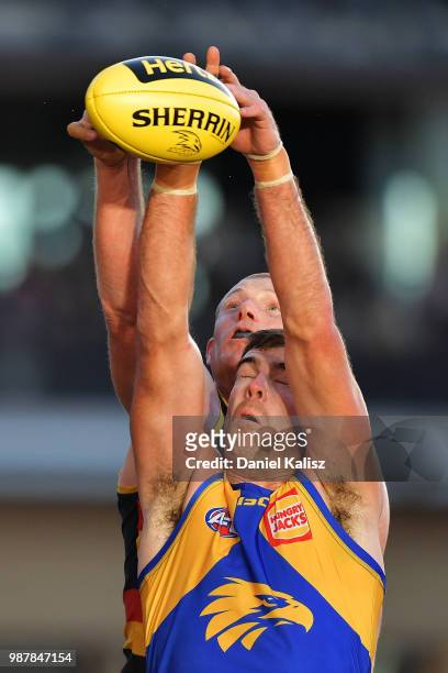Sam Jacobs of the Crows and Scott Lycett of the Eagles compete for the ball during the round 15 AFL match between the Adelaide Crows and the West...