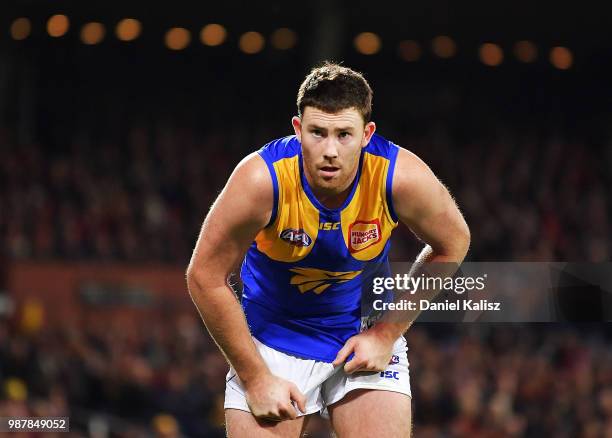 Jeremy McGovern of the Eagles looks on during the round 15 AFL match between the Adelaide Crows and the West Coast Eagles at Adelaide Oval on June...