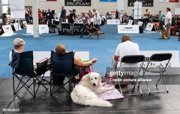 June 2018, Germany, Hanover: Participants waiting for the start of the competitions at the dog fair Hund & Co. On the fairgrounds in Hanover. The...