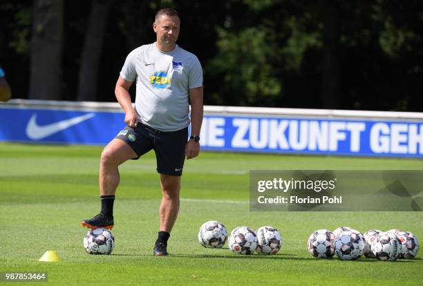 Coach Pal Dardai of Hertha BSC during the training st Schenkendorfplatz on June 29, 2018 in Berlin, Germany.