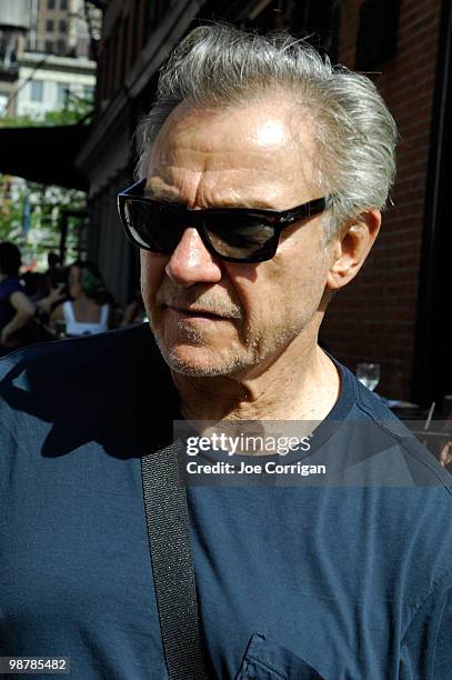 Actor Harvey Keitel attends the Family Festival Street Fair during the 2010 Tribeca Film Festival on May 1, 2010 in New York City.