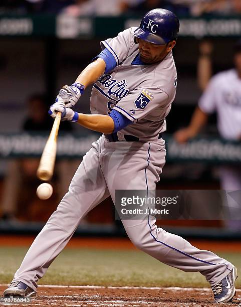 Outfielder David DeJesus of the Kansas City Royals fouls off a pitch against the Tampa Bay Rays during the game at Tropicana Field on May 1, 2010 in...