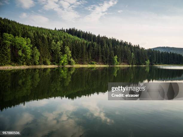 the thuringian forest, the dam lütsche. - thüringen landschaft stock-fotos und bilder