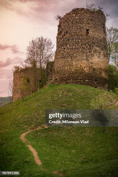 ruins - romanian ruins stock pictures, royalty-free photos & images