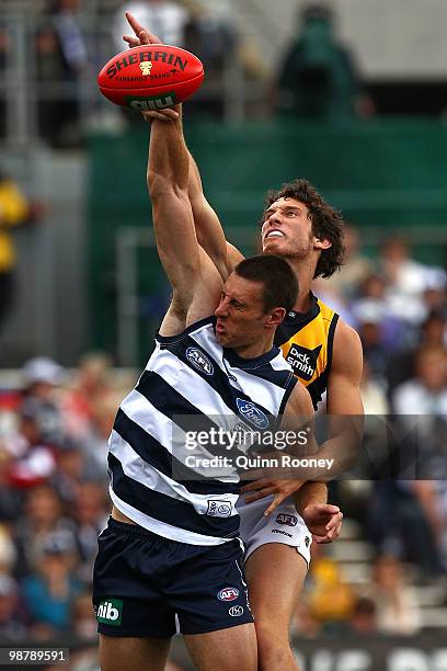 Mark Blake of the Cats and Tyrone Vickery of the Tigers contest in the ruck during the round six AFL match between the Geelong Cats and the Richmond...