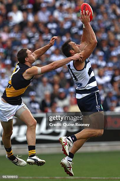 James Podsiadly of the Cats marks infront of Will Thursfield of the Tigers during the round six AFL match between the Geelong Cats and the Richmond...