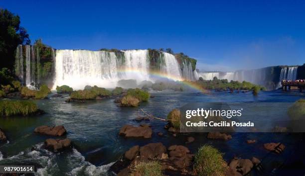 puerto iguazú,argentina - iguazú stock pictures, royalty-free photos & images