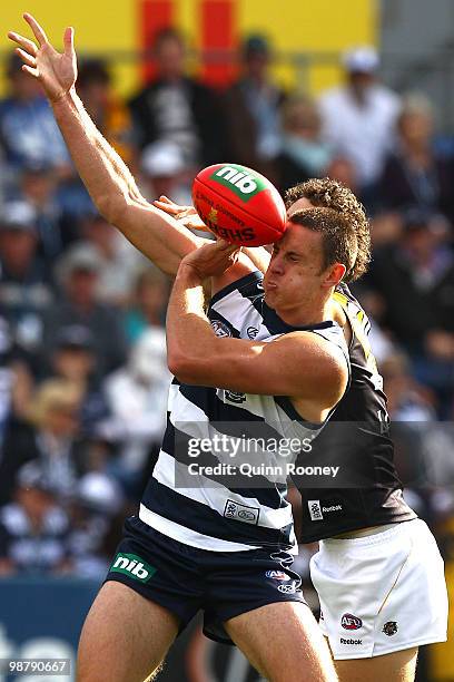 Mark Blake of the Cats is hit in the face with the ball as he competes in the ruck against Tyrone Vickery of the Tigers during the round six AFL...