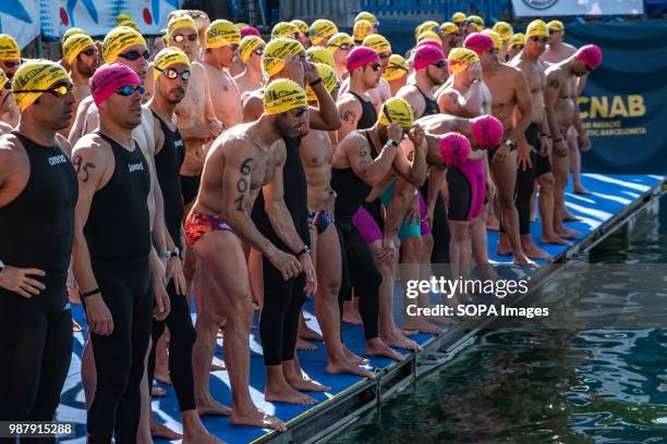 Group of swimmers prepares for the outing of the 91A Crossing of the Port of Barcelona. The 91A across the port of Barcelona involves different...