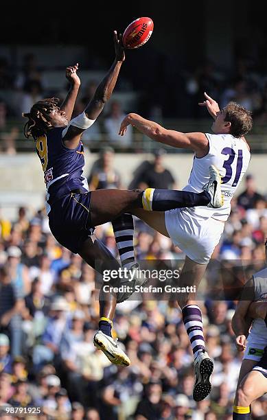 Nic Naitanui of the Eagles contests the bounce against Aaron Sandilands of the Dockers during the round six AFL match between the West Coast Eagles...