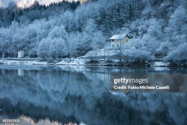 winter reflection - capelli 個照片及圖片檔