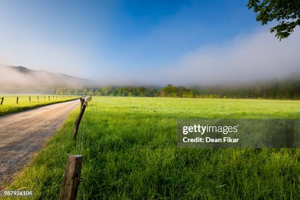 foggy morning in cade's cove - cade stock-fotos und bilder