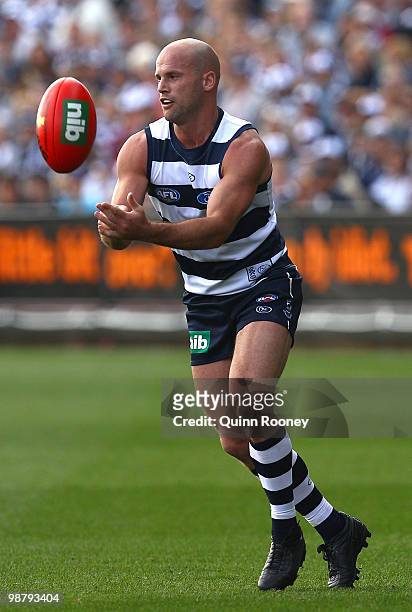 Paul Chapman of the Cats handballs during the round six AFL match between the Geelong Cats and the Richmond Tigers at Skilled Stadium on May 2, 2010...