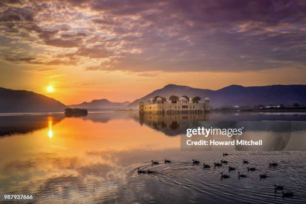 the jal mahal in jaipur, india. - jal mahal stock pictures, royalty-free photos & images