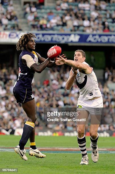 Nic Naitanui of the Eagles and Aaoron Sandilands of the Dockers contest the ball during the round six AFL match between the West Coast Eagles and the...