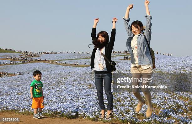 Visitors enjoy watching the Blue Nemophila flowers bloom during the Golden Week holidays, at Hitachinaka Kaihin Park on May 02, 2010 in Hitachinaka,...