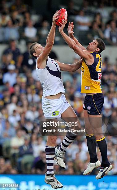 Aaron Sandilands of the Dockers contests the bounce against Dean Cox of the Eagles during the round six AFL match between the West Coast Eagles and...