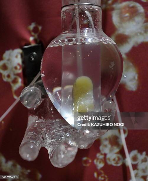 The form of a person's finger made by the cultured skin cell of a mouse is displayed in a glass as part of a creators' art festival in Tokyo on May...