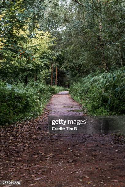 otley chevin - otley stock pictures, royalty-free photos & images