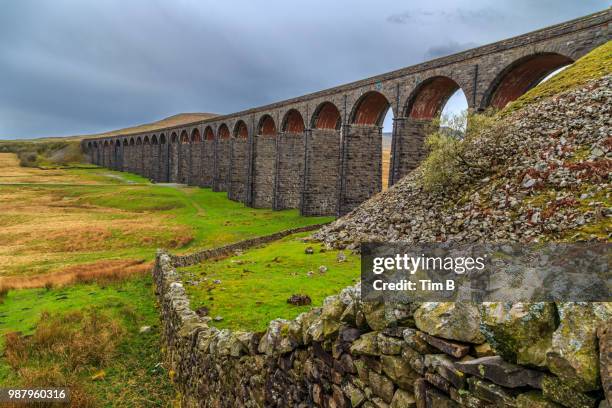 ribblehead viaduct april - ribblehead viaduct stock pictures, royalty-free photos & images