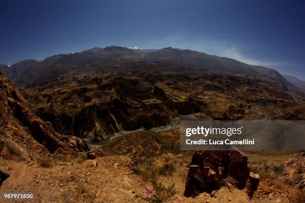 colca canion. - colca stock pictures, royalty-free photos & images