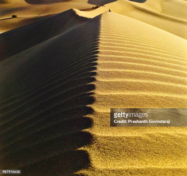 Dune Book Photos and Premium High Res Pictures - Getty Images
