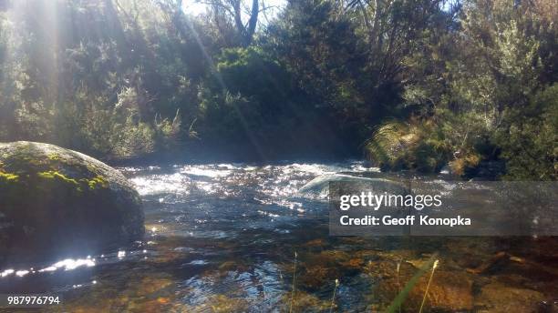 thredbo river, thredbo - thredbo stockfoto's en -beelden