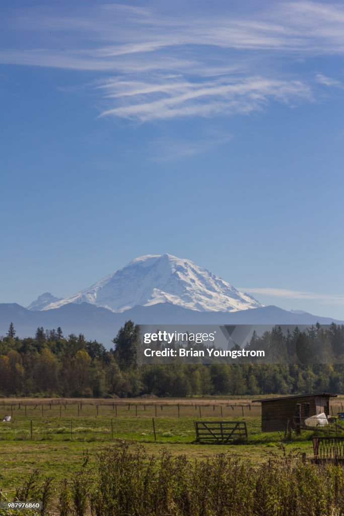 Mt. Rainier