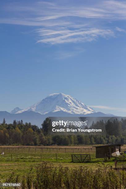 Mt Rainier High-Res Stock Photo