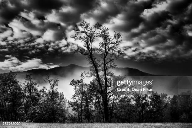 first light in cade's cove - cade stock-fotos und bilder