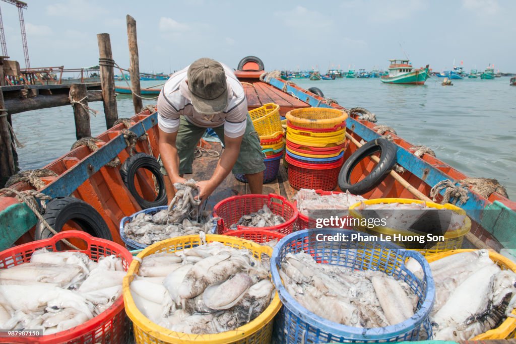Fisherman on the boat with full of octopuses caught from the fishing trip