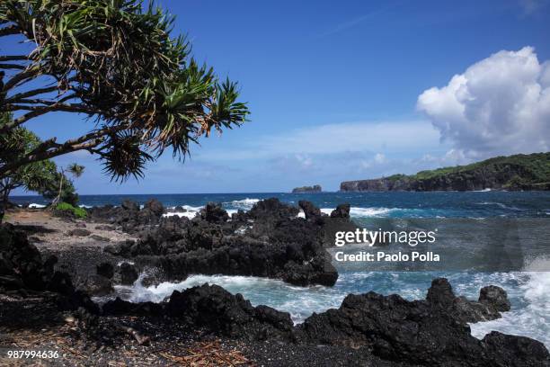 maui - polla stock pictures, royalty-free photos & images