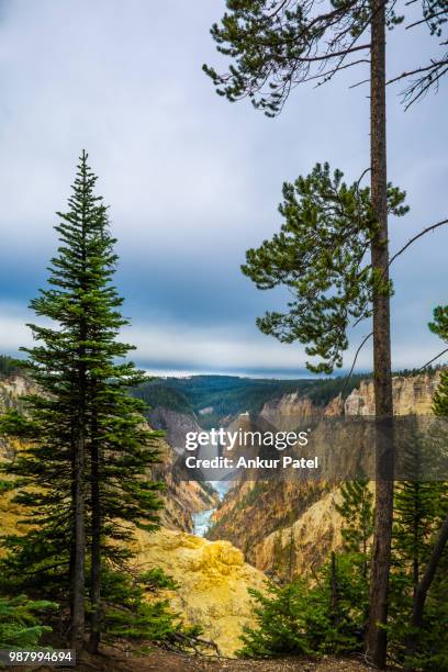 clouds over lower falls, idaho, usa - cataratas lower falls fotografías e imágenes de stock