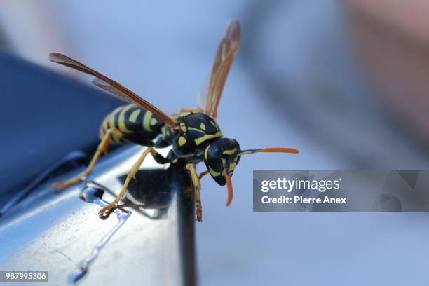 lignes de fuite... - fuite stockfoto's en -beelden