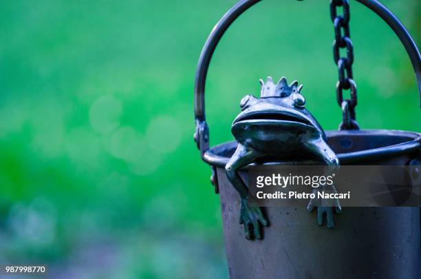 the frog prince - frog prince stock pictures, royalty-free photos & images