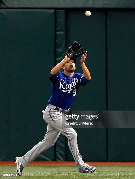 Outfielder David DeJesus of the Kansas City Royals catches a fly ball against the Tampa Bay Rays during the game at Tropicana Field on May 2, 2010 in...