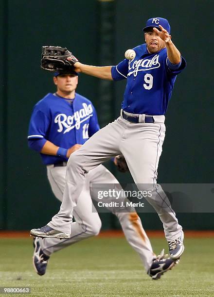 Outfielder David DeJesus of the Kansas City Royals cannot get to a fly ball against the Tampa Bay Rays during the game at Tropicana Field on May 2,...