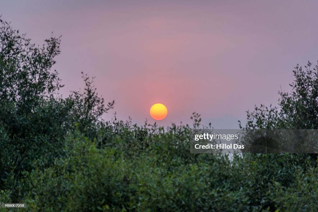 Sunset-3