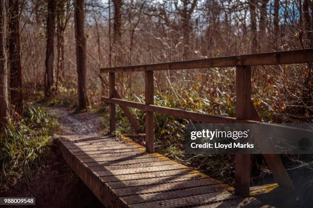 131 Blean Stock Photos, High-Res Pictures, and Images - Getty Images