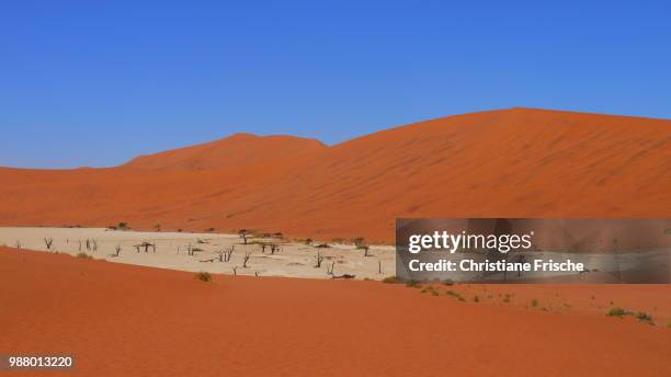 red namibian desert - frische 個照片及圖片檔