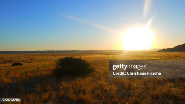 sunset in namibia - frische 個照片及圖片檔