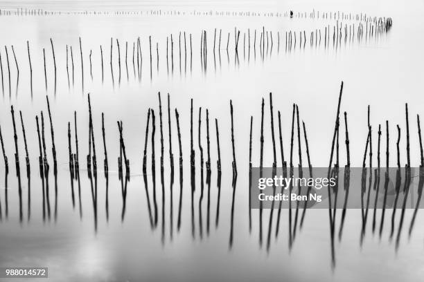 s-lineup of wooden stilts - s the lineup stock pictures, royalty-free photos & images