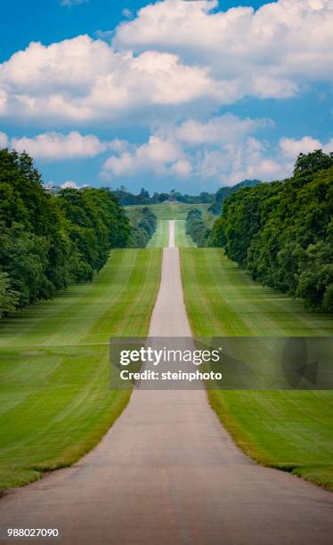 windsor's long wallk - royal parks stock pictures, royalty-free photos & images